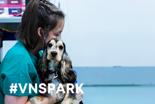 VN Spark 2.0 with Lou The Vet Nurse & Special Guests