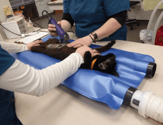 HoverHeat Warming Pad