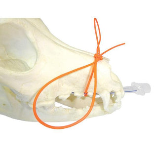 Endotracheal Tube Ties (Trinity Trach Tube Ties/ET Tube Ties)