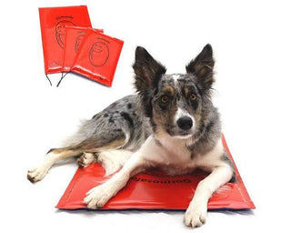 Dormosafe Electric Pad